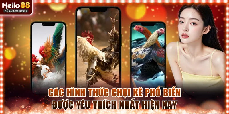 Các hình thức chọi kê phổ biến được yêu thích nhất hiện nay