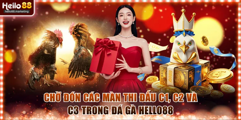 Chờ đón các màn thi đấu C1, C2 và C3 trong đá gà Hello88