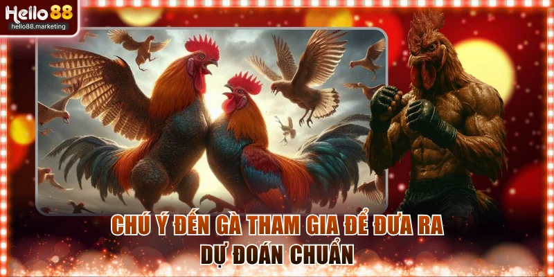 Chú ý đến gà tham gia để đưa ra dự đoán chuẩn