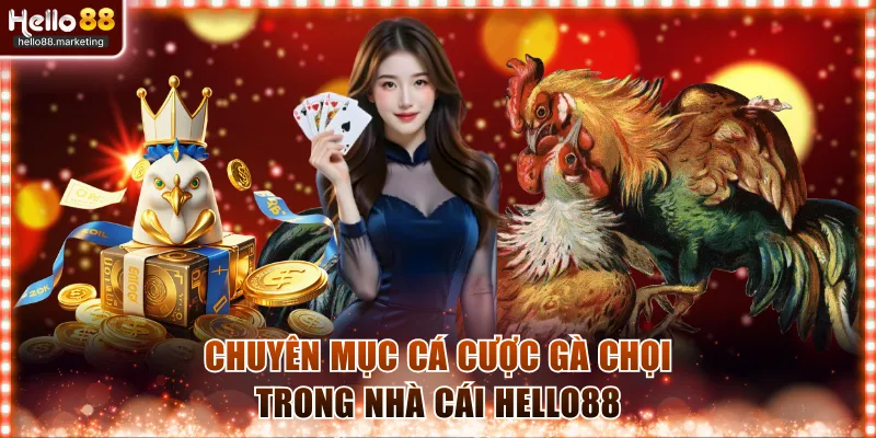 Chuyên mục cá cược gà chọi trong nhà cái Hello88