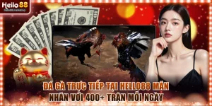 Đá gà trực tiếp