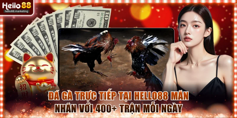 Đá gà trực tiếp