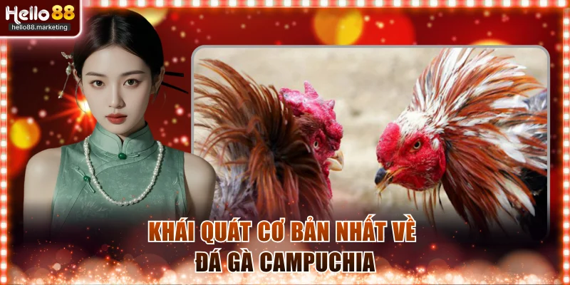 Khái quát cơ bản nhất về đá gà Campuchia