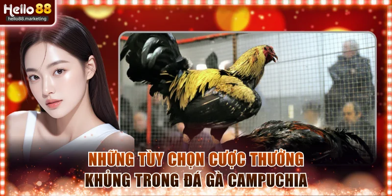 Những tùy chọn cược thưởng khủng trong đá gà Campuchia