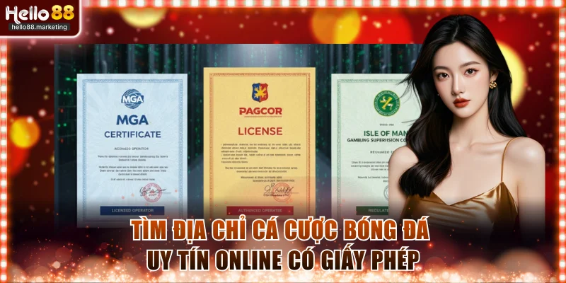 Tìm địa chỉ cá cược bóng đá uy tín online có giấy phép